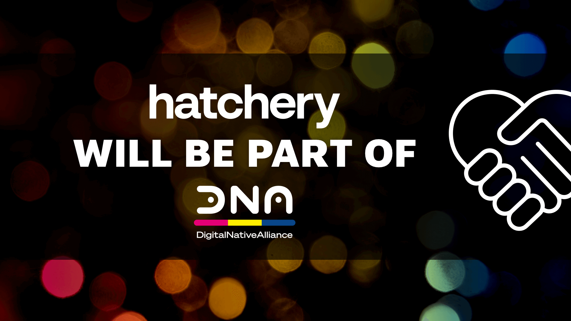 Hatchery ist Teil der DigitalNativeAlliance