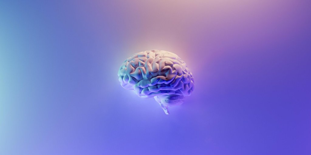 Ein 3D Rendering eines menschlichen Gehirns. Viele Lila Farbtöne